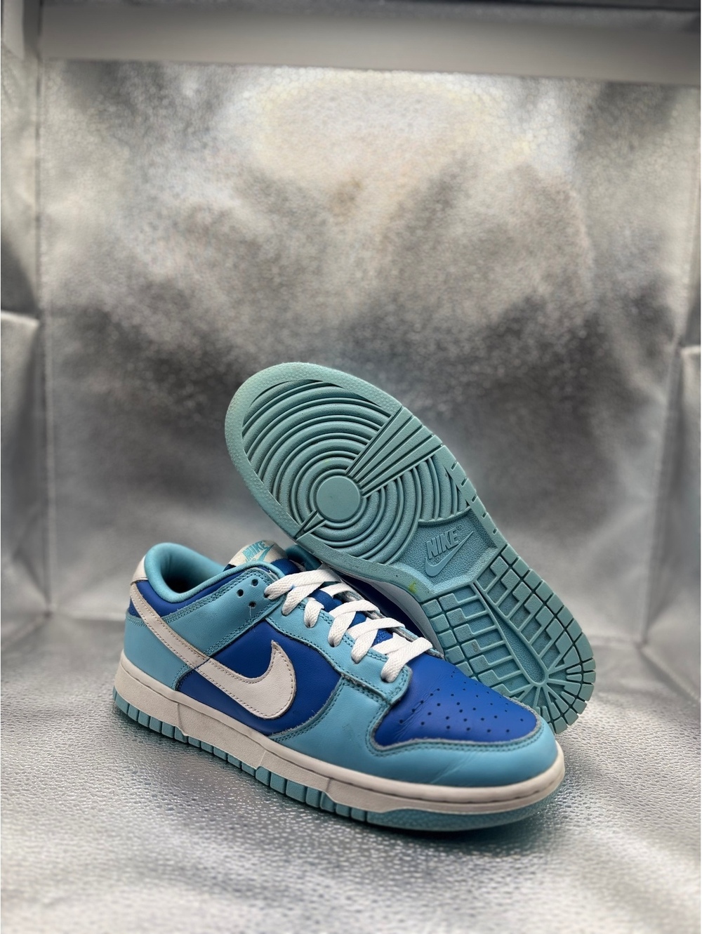 Nike dunk low retro QS argon 2022